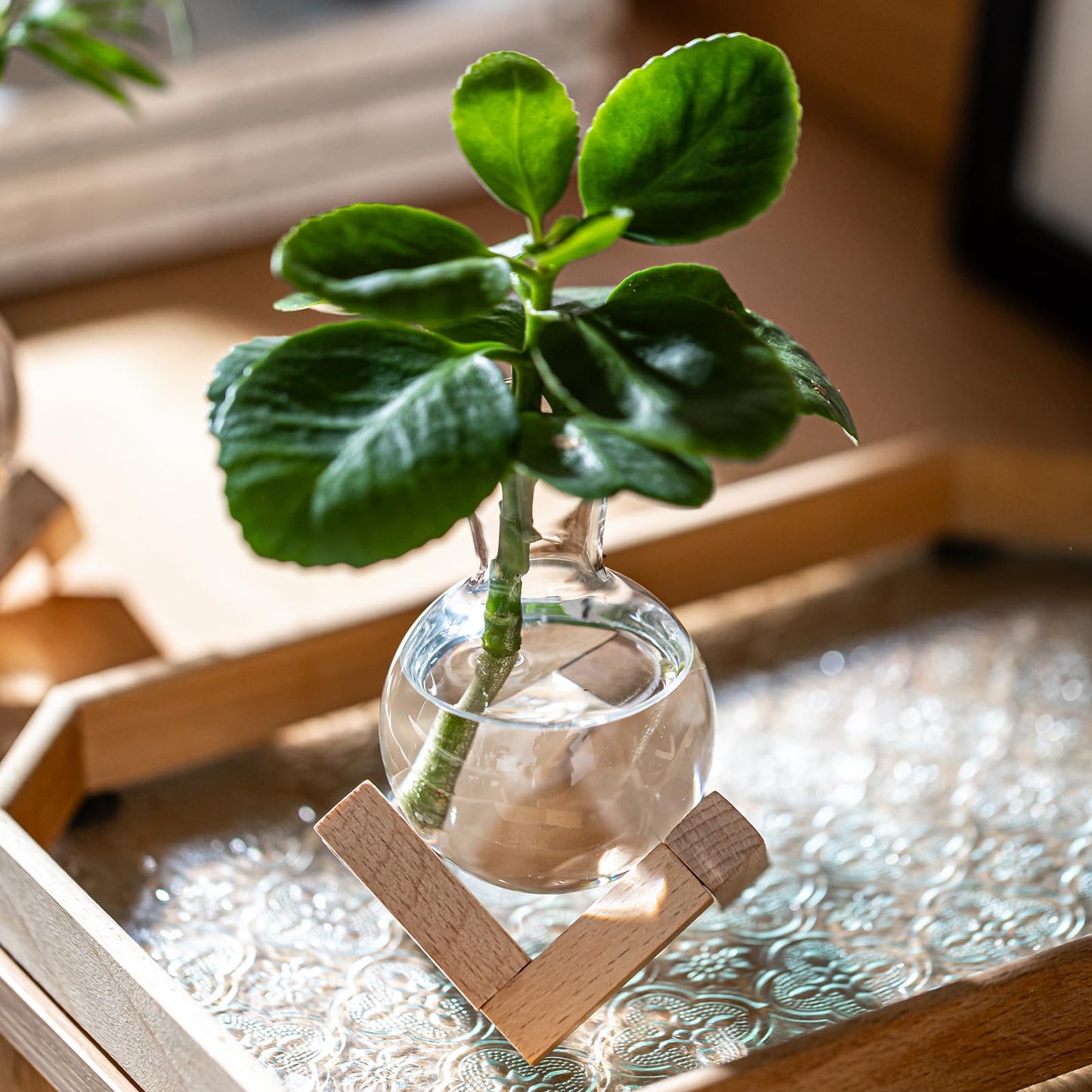 Plant Propagation Station, Desktop Flower Vases-Plant Terrarium with Wooden Stand, Tabletop Bulb Glass Vase for Living Room,Hydroponics Home Office Decoration Cu(4pcs)