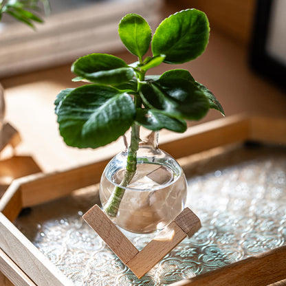Plant Propagation Station, Desktop Flower Vases-Plant Terrarium with Wooden Stand, Tabletop Bulb Glass Vase for Living Room,Hydroponics Home Office Decoration Cu(4pcs)