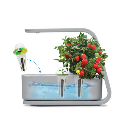 AeroGarden Sprout with Gourmet Herb Seed Pod Kit - Indoor Garden with LED Grow Light, Cool Gray