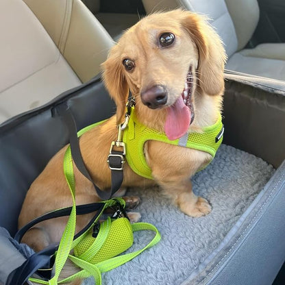Best Pet Supplies Voyager Step-in Air All Weather Mesh Harness and Reflective Dog 5ft Leash Combo with Neoprene Handle, for Small, Medium and Large Breed Puppies - Lime Green, Medium