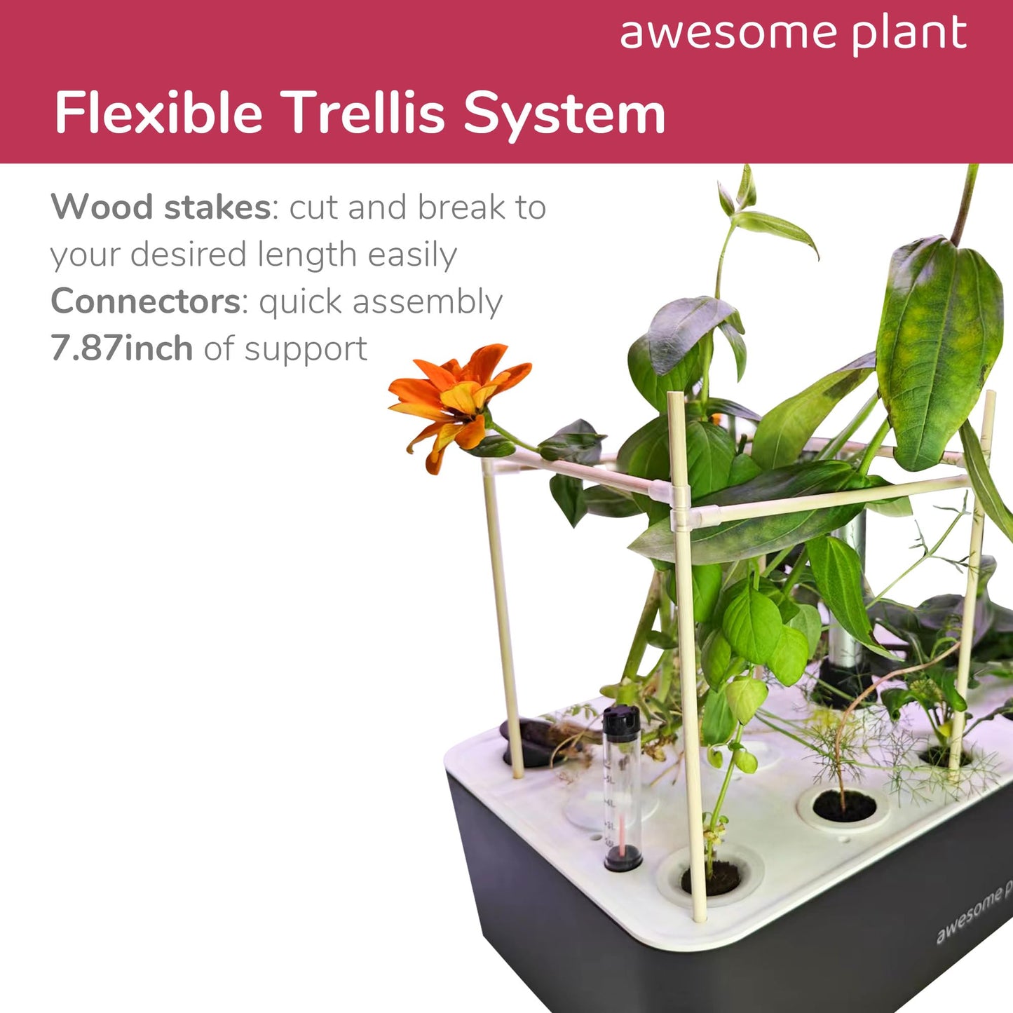 Awesome Plant Trellis System (20 PCS) Plant Support Stakes Kit, 7.87 Inches Plant Stakes for Indoor Hydroponic Growing System, Compatible with Aerogarden Harvest XL Bounty and iDOO Indoor Garden