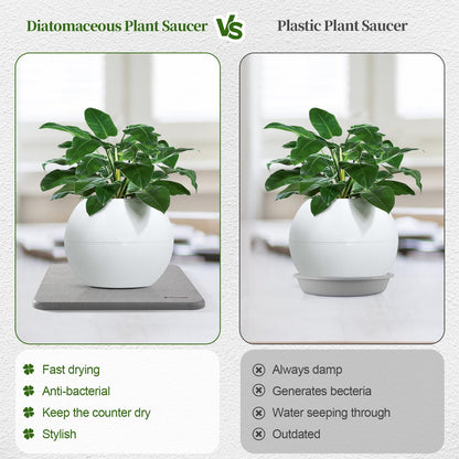 Dovesail Plant Saucer, 12" Instantly Dry Diatomaceous Earth Stone Prevents Moisture Buildup, Flower Plant Tray Pot Saucer Keep Counter and Floors Dry and Clean (2 Pack)- Dark Gray