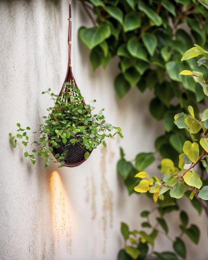 Gogeffor Hanging Orchid Planter: 3 Pack Wall Plant Pot with Adjustable Hook Breathable - 4 Inch Handmade Bamboo Flower Basket for Indoor Window Balcony Corridor Railing Garden Fence - Brown