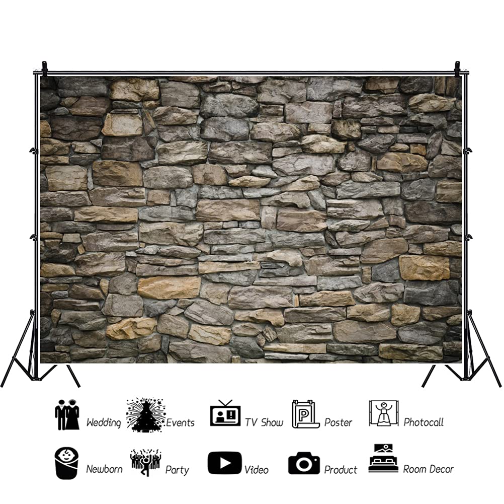 Laeacco 8x6FT Vintage Stone Brick Wall Backdrop Grunge Rock Stone Castle Wall Photography Background Retro Birthday Party Halloween Photo Studio Newborn Baby Shower Adults Portrait Photo Shooting