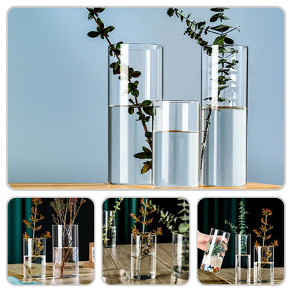 FOMIYES Glass Flower Vase Hydroponic Terrarium Vase 10cm X 25cm High Borosilicate Glass for Indoor Plant Propagation and Floral Arrangements