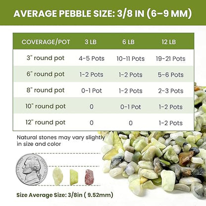 3/8 Inch Polished Decorative Pebbles, River Rocks for Indoor Plants, Succulents, Planters, Vases, Fish Tank, Aquarium Gravel & Landscaping, Jade, 3LB