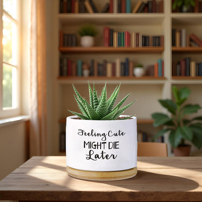 Haooxinwei Funny planters for Indoor Plants Garden Succulent Pots, with Drainage Holes and Saucer(No Plants) (Feeling Cute Might Die Later)