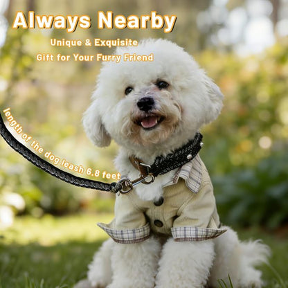 Paracord Dog Collar, Adjustable Soft Nylon Pet Collars for Medium Large Dogs(19"-23"), Stylish Pet Gear for Boys, XL(Set of 1, Black Skull Collar+Leash)