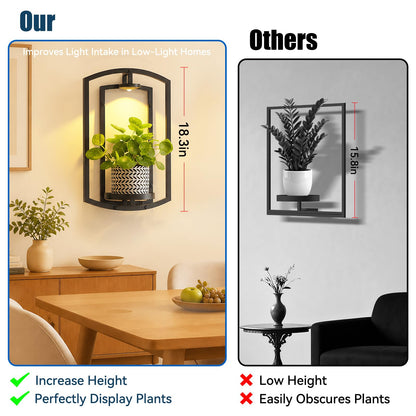 AUCCNT Wall Plant Holder with Remote Grow Lights, Framed Plants Holder for Indoor Plants Wall Decor, Living Room Plant Stand, Window Plant Shelves, 1 Pack