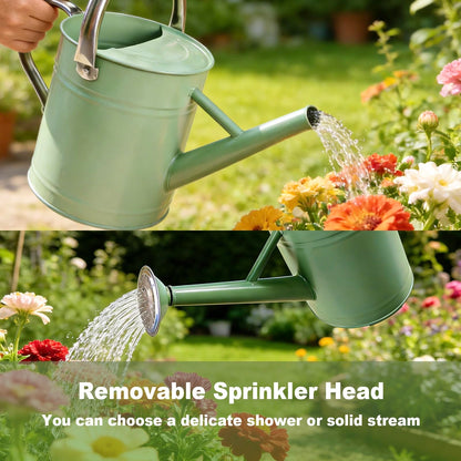 Watering Can for Outdoor&Indoor Plants，1 Gallon Metal Watering Can with with Removable Spout，Galvanized Steel Garden Flower Water Can Plant Watering Pot with 2 Stainless Steel Handles，Cream Green