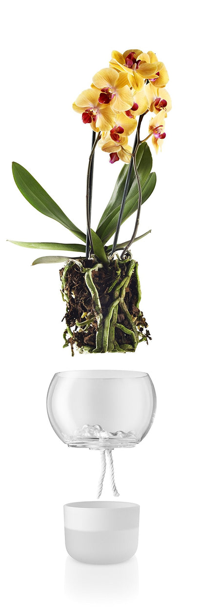 Eva Solo | Orchid Pot | Ø15cm Self-Watering Orchid Pot | Keeps Indoor House Plants, Flowers, Herbs & Vegetables Watered & Healthy | Danish Design, Functionality & Quality | Frosted Glass