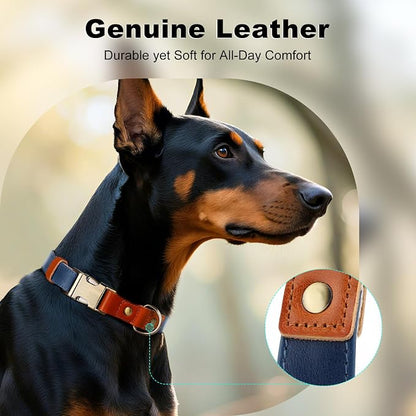 Plutus Pet Genuine Leather & Hemp Dog Collar – Adjustable Heavy Duty Pet Collar with Quick Release Metal Buckle, Soft & Stylish for Puppy and Small, Medium, Large Dogs (Royal Blue, L)