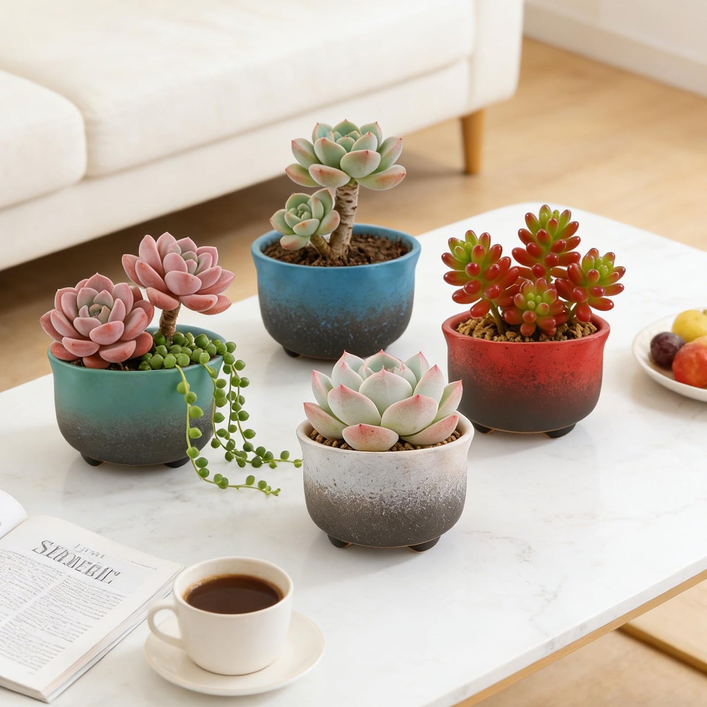 ginojex Small Ceramic Garden Pots Succulent Plant Planter Container with Drainage Set of 5 for Home Office Decor