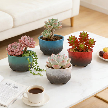 ginojex Small Ceramic Garden Pots Succulent Plant Planter Container with Drainage Set of 5 for Home Office Decor