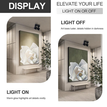 HITOO Ceiling spot Lights Indoor, Ceiling Accent Lights 3000-6000K Selectable, 20W Dual Head LED Spot Lights, CRI 98, 220° Directional, Black Ceiling Spotlight for Kitchen, Plant, Living Room