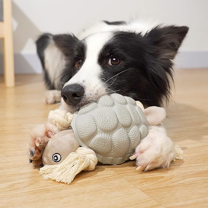 Sedioso Dog Toys, Multi-Function Chew Toy for Teeth Cleaning, Food Dispensing Toys Medium, Large Dogs (Turtle, Grey)