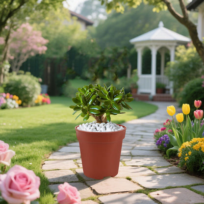verkelly 50 Pack 2 Inch Mini Plastic Plant Pots with Drainage Holes - Small Round Nursery Seedling Pots Ideal Seedling Starters
