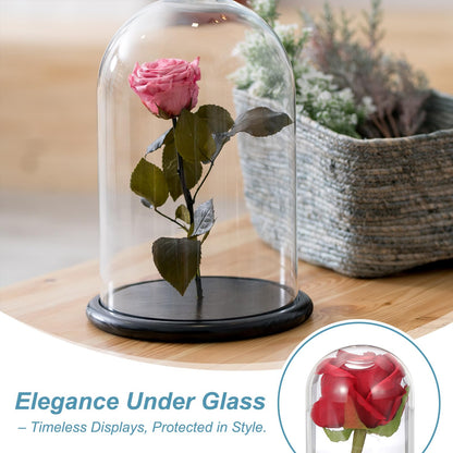 uxcell Glass Cloche Display Dome, 5.1" x 3.9" Glass Dome Display Case Wood Base Tabletop Jar Case Decorative Bell Jar for Plant Home Decor Office Wedding Party, Natural