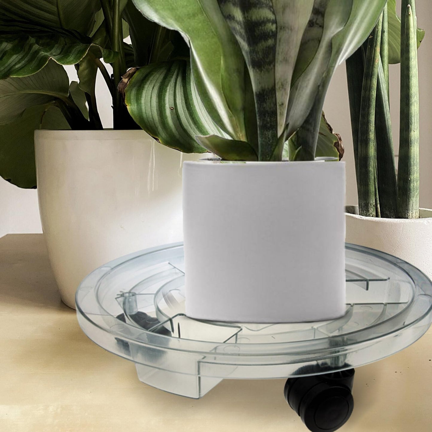 GANAZONO Removable Plant Pot Stand with Smooth Rolling Wheels 11.81 Inch Clear Plastic Caddy for Indoor and Outdoor Large Flower Pots
