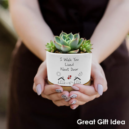 ROXMART Gifts for Best Friend Woman Plant Pots, Friendship Bestie BFF Gifts Succulent Planters, I Wish You Lived Next Door Ceramic Plant Flower Pots for Home Office Desk Table Shelf(No Plants)