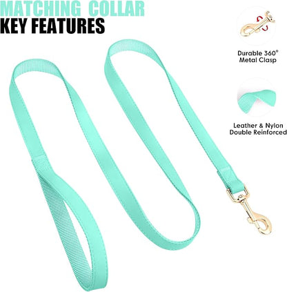 PET ARTIST Soft PU Leather Dog Collar and Leash Set, Bright & Stylish 5FT PU Leather Leash and Collar Set, Durable Pet Collars with Quick Release Metal Buckle for Small Dogs,Mint Green,S(9"-14")