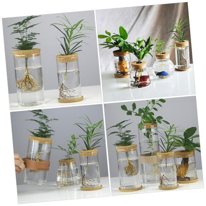 MAGICLULU Glass Hydroponic Vase Set for Succulents and Green Plants, Glass Flower Arrangement Container with Mat, 6.5x12cm, 2pcs Home Décor Terrarium Planter