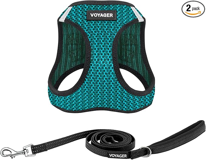 Best Pet Supplies Voyager Step-in Air All Weather Mesh Harness and Reflective Dog 5ft Leash Combo with Neoprene Handle, for Small, Medium and Large Breed Puppies - Set (Turquoise 2-Tone), Small