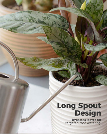 Bamworld Metal Watering Can for Indoor Outdoor Plant 1L/35oz Silver Stainless Steel Watering Can with Long Spout for House Potted Plants Succulents Bonsai Garden Flowers