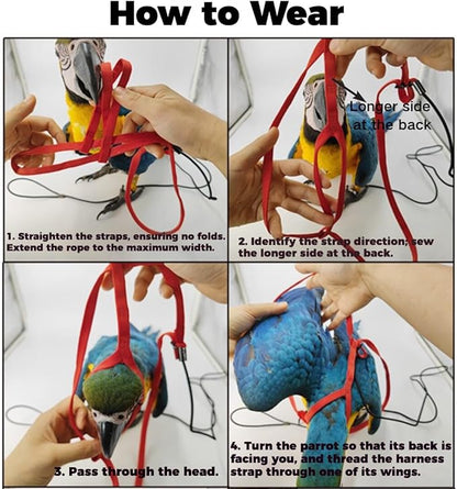 Adjustable Bird Harness and Leash for Parrots Outdoor Flight Training Anti-Bite Light Weight Easy-to-Wear Bird Vest with 59 Inch Elastic Leash for Quaker Conure African Grey Macaw Cockatoo (XXS)