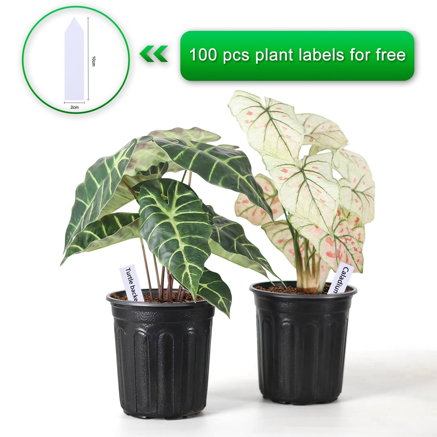 Hemikaki 100-Pack 1 Gallon Nursery Pots, Thickened Pots for Plants with Drainage Holes, Large Plastic Flower Pots for Seedlings, Succulents, Transplanting, Come with 100pcs Plant Labels