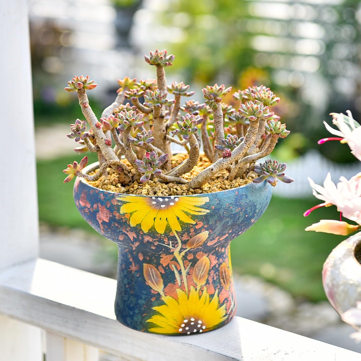 Sungmor 7.5 Inch Large Succulent Plant Pots, Pretty Hand Painted Ceramic Planter with Drainage, Indoor Outdoor Cactus Planter Bonsai Pot, Flower Pot for Indoor Plants Garden Windowsill Desktop Decor