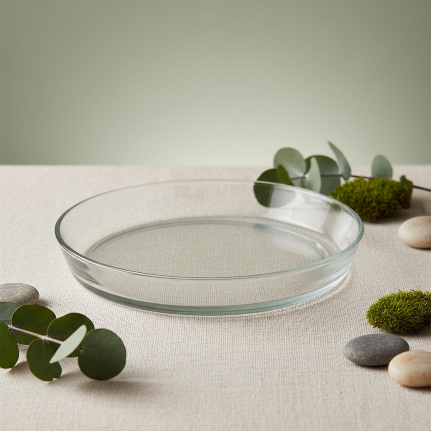 Oakestry 9" Clear Glass Plant Tray Saucer with High Rim, Multi-Purpose Plate for Houseplants, Terrariums, Serving, Centerpieces & DIY Décor