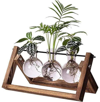 Kingbuy Plant Propagation Station – 3 Glass Bulb Vases with Wooden Stand, Boho Desktop Terrarium for Hydroponics Home Office Window Sill Decor, Unique Gift for Women Plant Lovers
