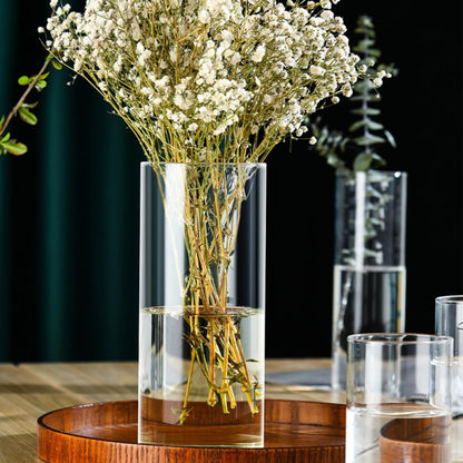 FOMIYES Glass Flower Vase Hydroponic Terrarium Vase 10cm X 25cm High Borosilicate Glass for Indoor Plant Propagation and Floral Arrangements