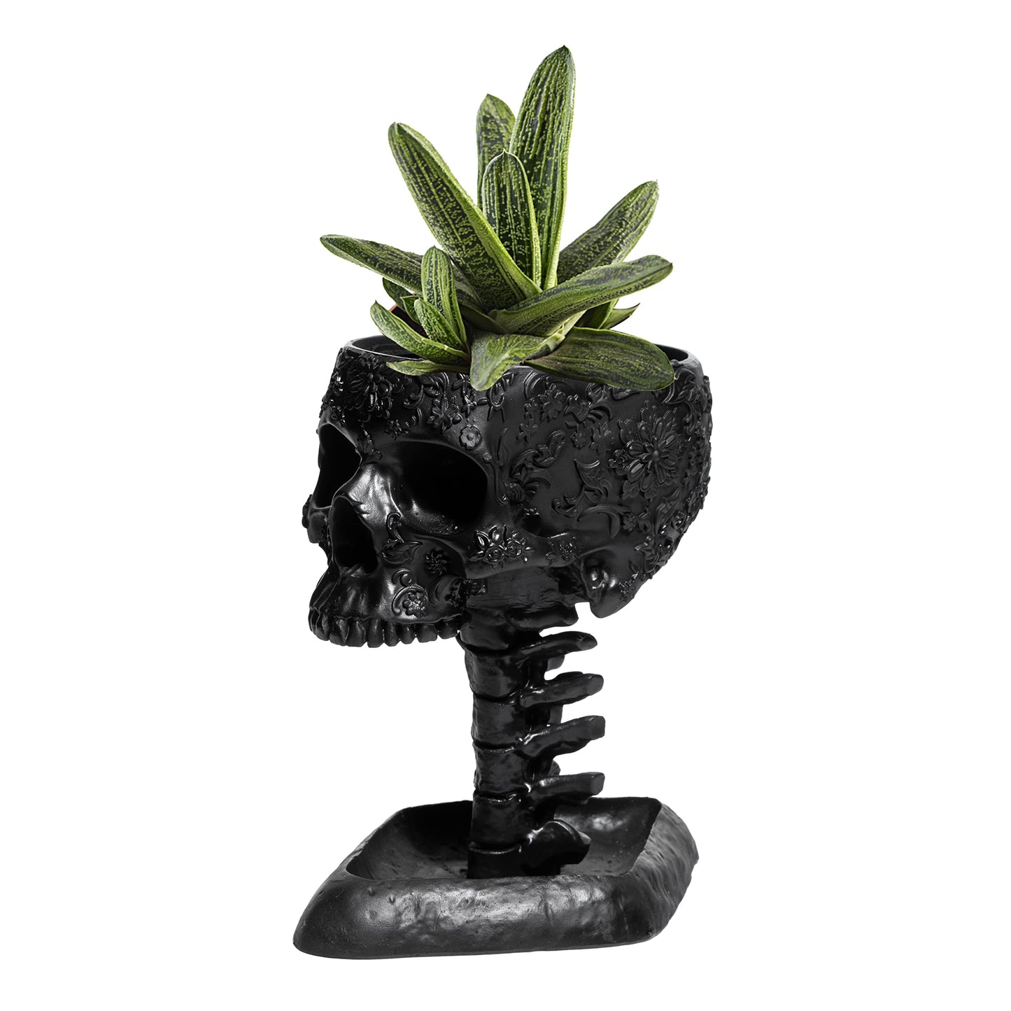 GUTE Skull Planter Pot, Makeup Brush & Pen Holder - Black Skeleton Backbone Plant, 6" Deep Polyresin Strong for Succulents Plants & Flowers - Spooky Skulls Home Decor Serving