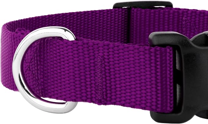 Country Brook Petz - Everyday Nylon Dog Collar and Leash - 10+ Cool Colors (1 Inch, Large, Purple)