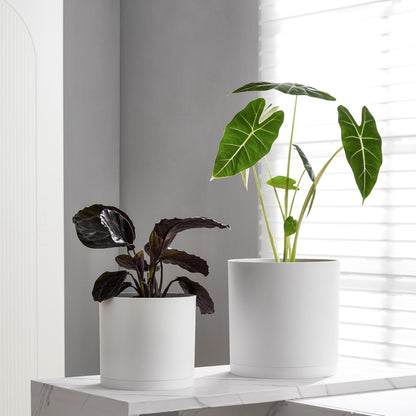 FaithLand 8-Inch Modern Cylinder Planter, Thick-Walled Plastic Plant Pot with Drainage Holes and Detachable Saucer, Matte White, Ideal for Indoor & Outdoor Plants Flowers