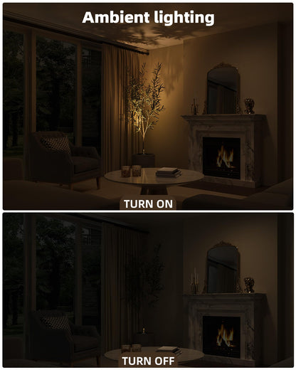 EZVALO Spotlight Indoor with Remote, 4000mAh Rechargeable Battery-Powered Plant Spot Lights, Wireless Mini Uplights with Dimmable & 3-CCT, Timer, Accent Lighting for Pictures, Art, Displays (2-Pack)