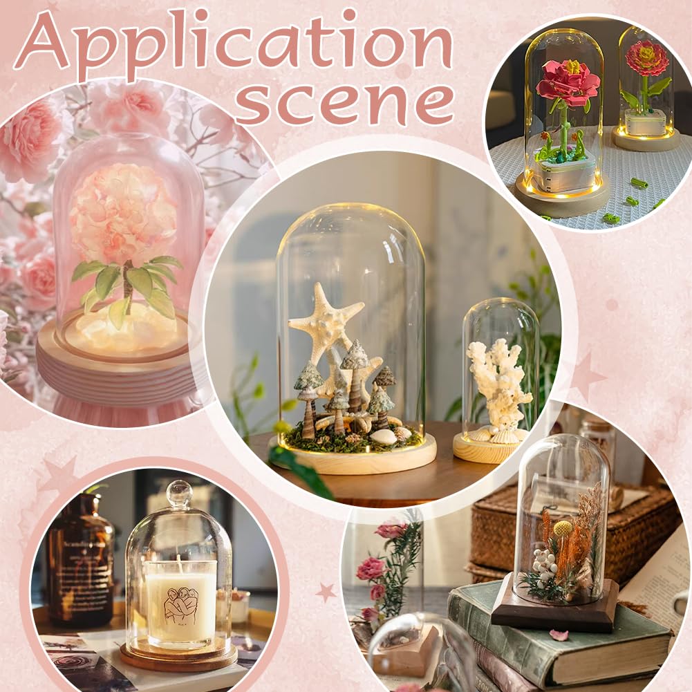 PH PandaHall Glass Cloche Display Dome 5.6x10.9inch Bell Jar Cover with Wooden Base Clear Terrarium Display Case Cloche Bottles Storage Decorative Centerpiece Stand for Flowers Succulent Home Decor