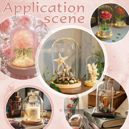 PH PandaHall Glass Cloche Display Dome 5.6x10.9inch Bell Jar Cover with Wooden Base Clear Terrarium Display Case Cloche Bottles Storage Decorative Centerpiece Stand for Flowers Succulent Home Decor