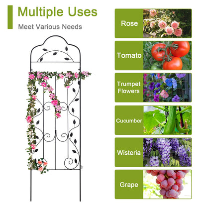 hogardeck Metal 60 * 18in Garden Trellis 2-Packs for Climbing Plants Flowers Vegetables Planting Arched Outdoor Decoration for Courtyards Lawns Gardens