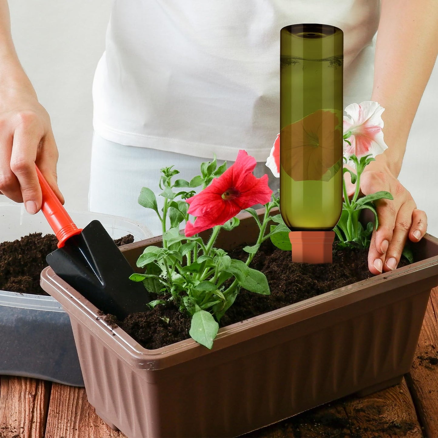 SiliFine 6 Sets Plant Watering Devices Include Terracotta Self Watering Spikes and 26 oz Plastic Bottles, Slow Release Vacation Insert Automatic Plant Waterer Device (Clear Green and Terracotta)