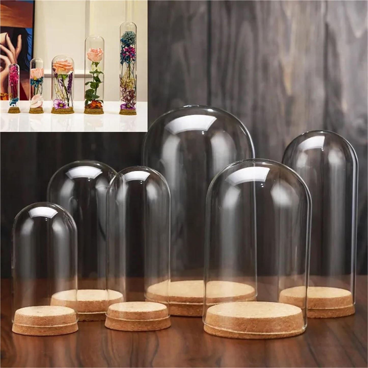10X Da30mm Glass Bottle Terrarium Jar Cork Base Dome Dust Cover DIY Specimen Succulent Plant Micro Landscape Flower Vase Display(30x120cm)