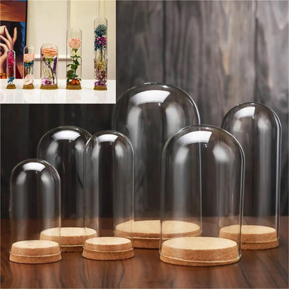 10X Da30mm Glass Bottle Terrarium Jar Cork Base Dome Dust Cover DIY Specimen Succulent Plant Micro Landscape Flower Vase Display(30x90cm)