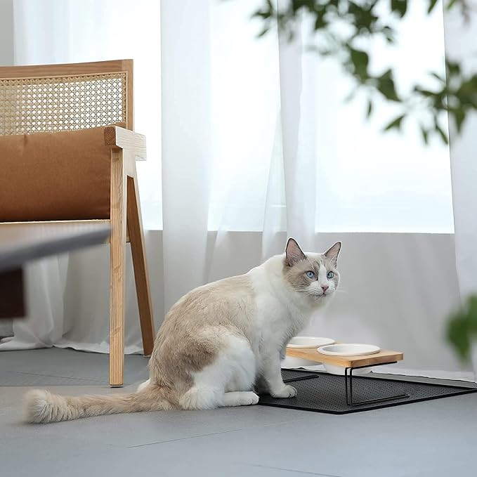 FUKUMARU Elevated Cat Ceramic Bowls, Small Dog Raised Food Feeding Dishes, Solid Wood Water Stand Feeder Set for Cats and Puppy
