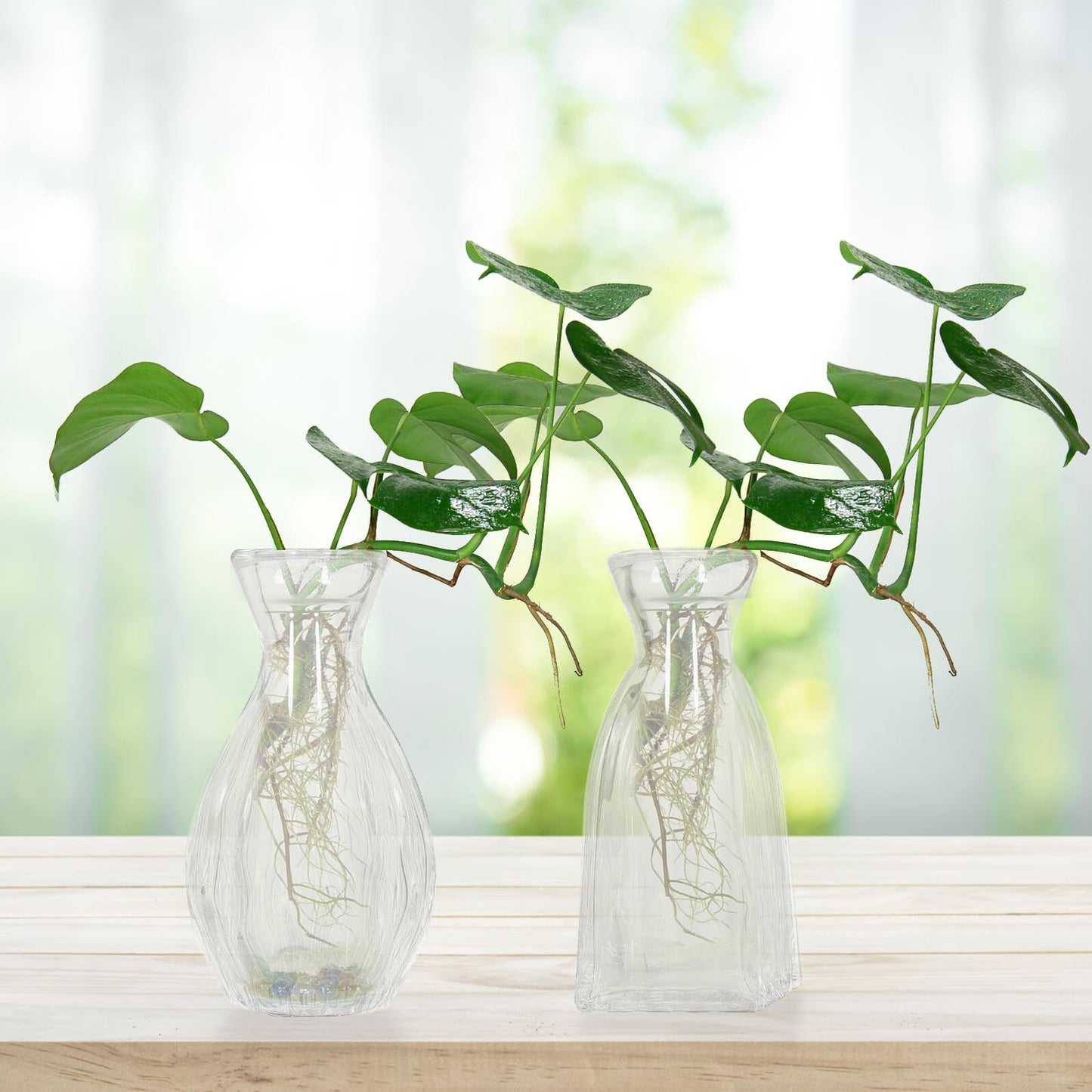 ELEOUTI 4pcs Decorative Glass Vases for Flowers Small Hydroponic Terrarium Vase for Home Décor and Indoor Plant Display