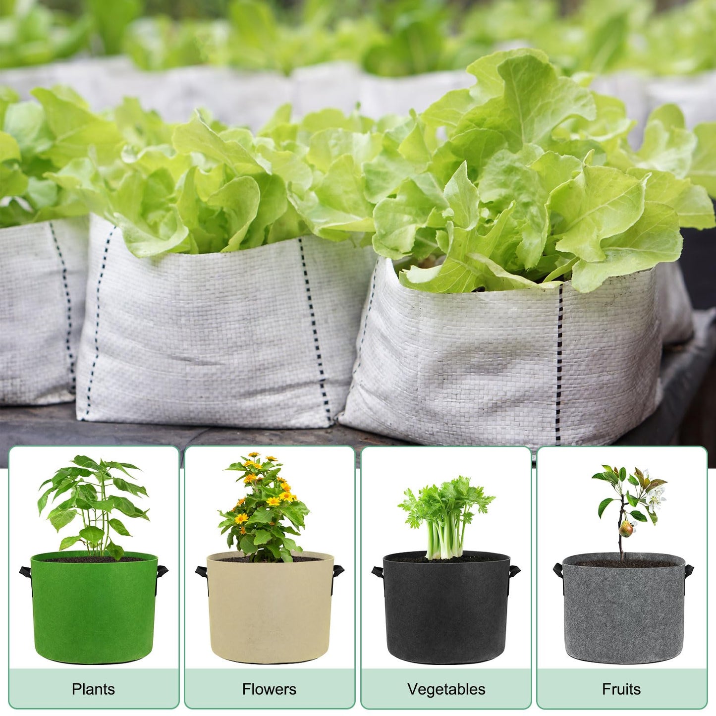 M METERXITY 5-Pack Plant Grow Bags 3 Gallon Grow Bags 300G Thickened Fabric Pots with Durable Handles Plant Garden Grow Pots for Fruits/Vegetables/Flowers/Plants [Khaki]