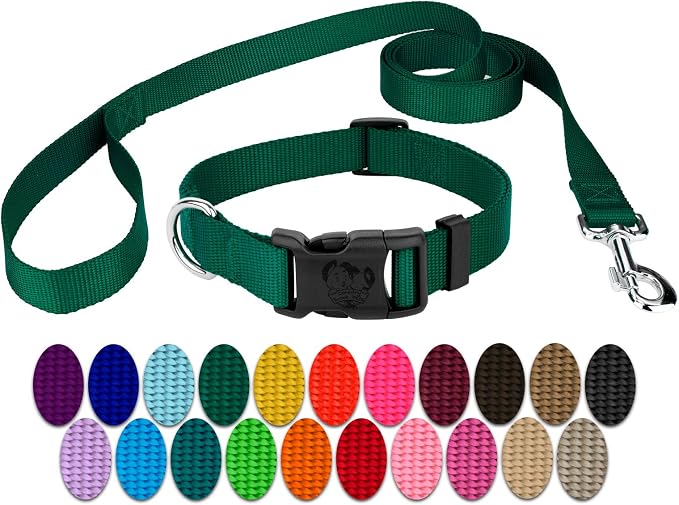 Country Brook Petz - Everyday Nylon Dog Collar and Leash - 10+ Cool Colors (3/4 Inch, Medium, Green)