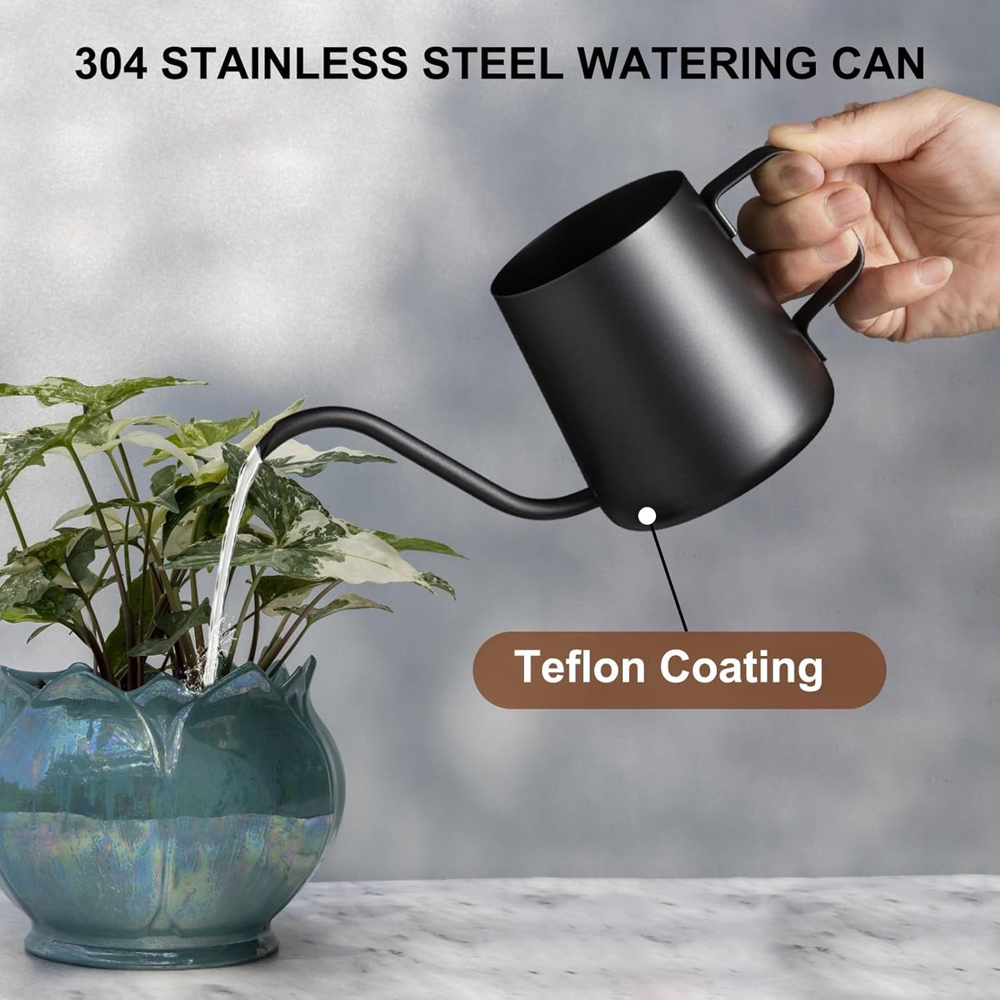 Lizhluzh 12 oz / 350 ml Small Watering Can Indoor Plants, Stainless Steel Plant Watering Can with Long Spout (Black) (12oz)