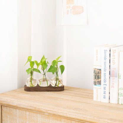 Mkono Desktop Plant Propagation Station Glass Planter Terrarium with Wooden Tray Bulb Flower Vase Perfect for Propagating Hydroponic Plants Home Office Decor Plant Lover Gift Idea